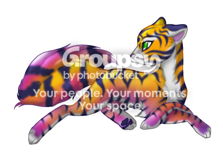 User Image